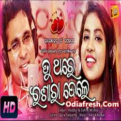Tu Thare Ishara Dele (Roddur-Sohini) Romantic album song